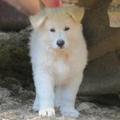 img_8839_edited-custom