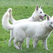 100_0925_edited_0