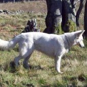 100_2437_edited