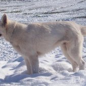 100_2975_edited