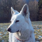 100_3263_edited
