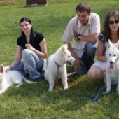 photos-de-famille